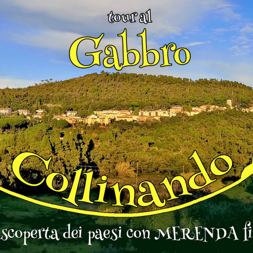 Collinando-Gabbro.jpg